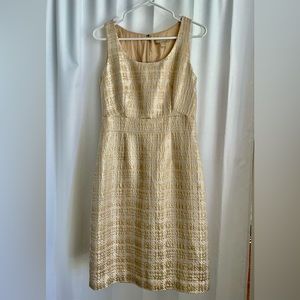 Banana Republic knee length sleeveless dress